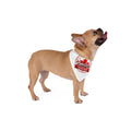 Pet Bandana