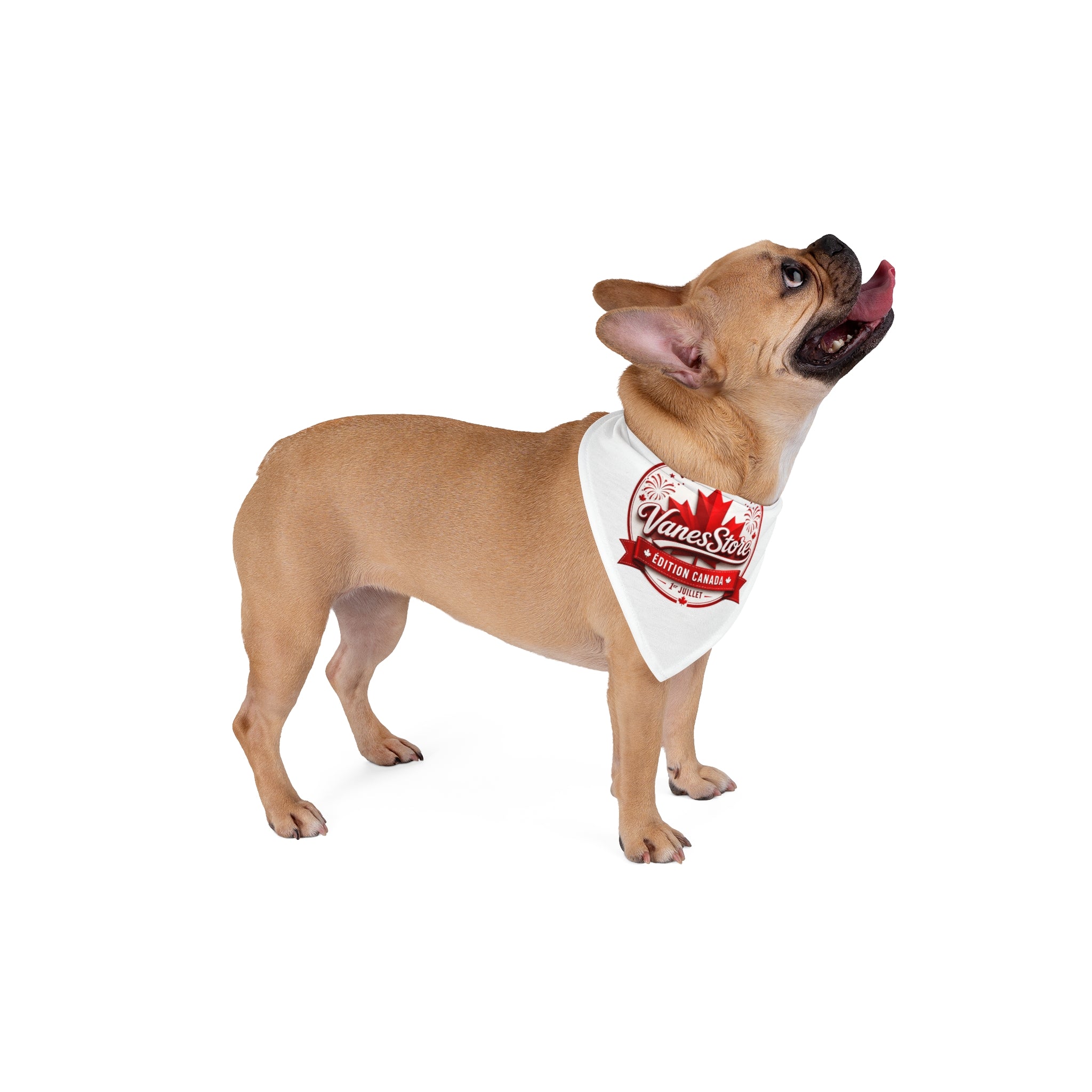 Pet Bandana