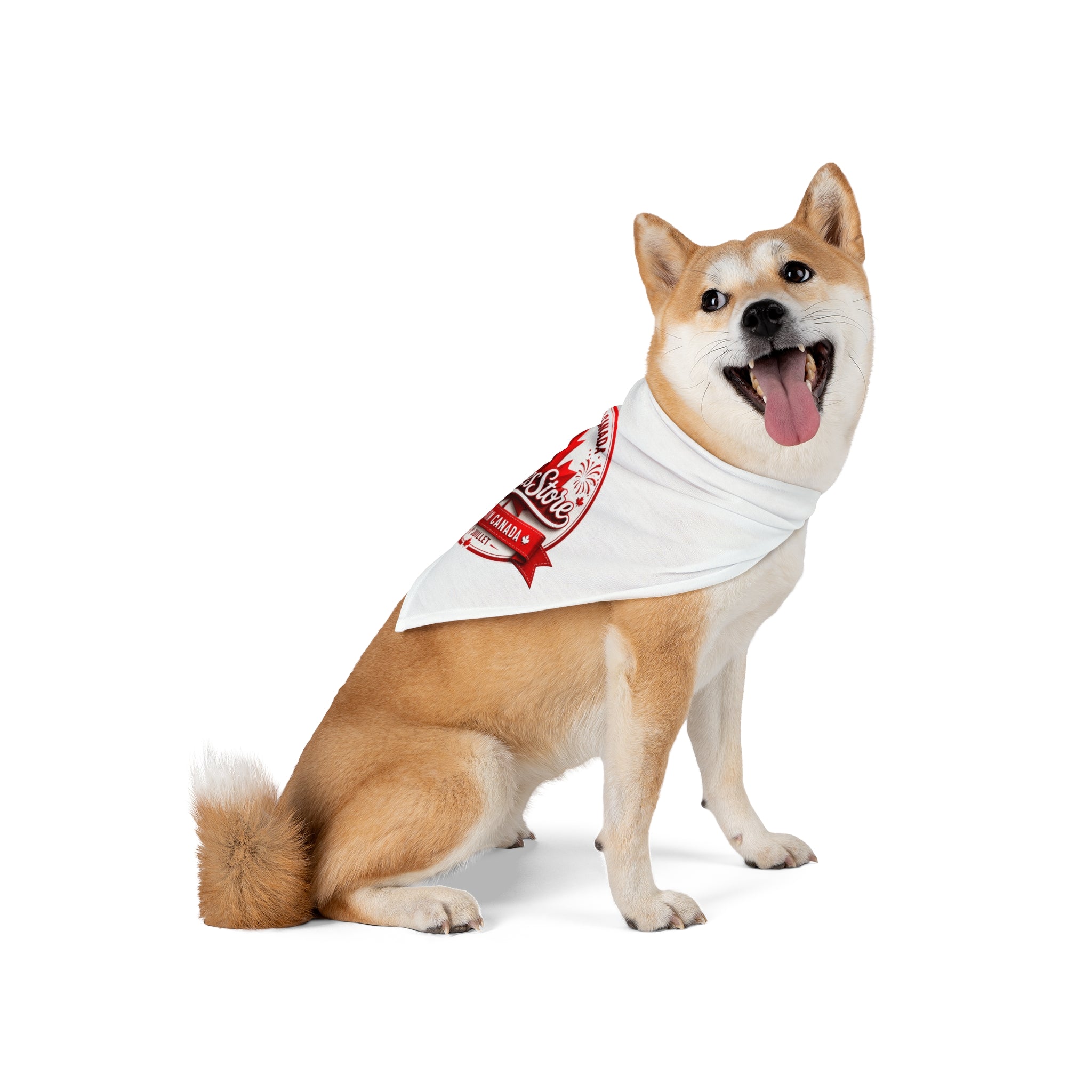 Pet Bandana